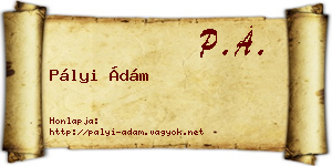 Pályi Ádám névjegykártya